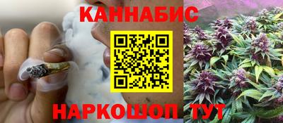 сатива Коммунар