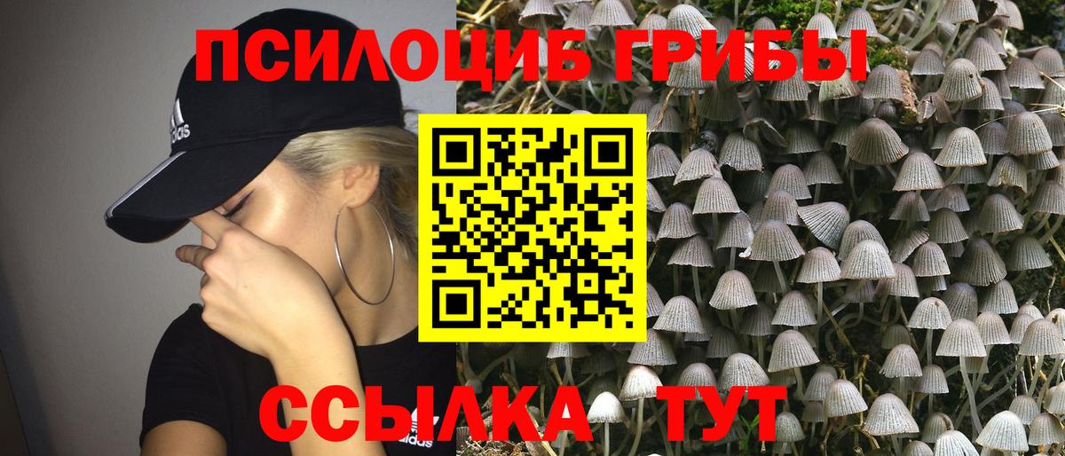 Псилоцибиновые грибы Psilocybe  Вход с VPN  Ярославль  Псилоцибиновые грибы GOLDEN TEACHER 